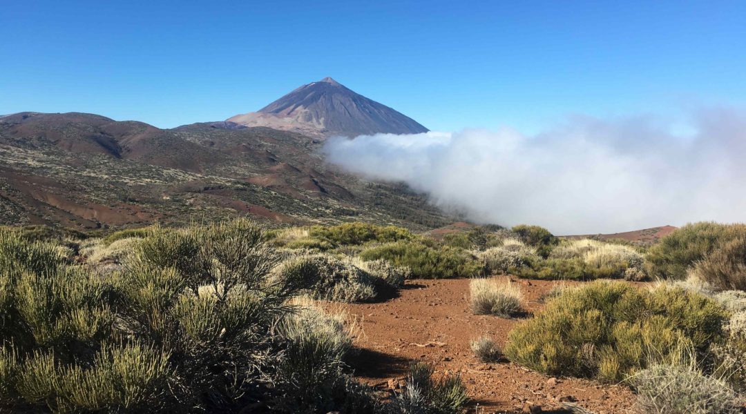 Den Teide besteigen: Ein Wander-Abenteuer auf Teneriffa